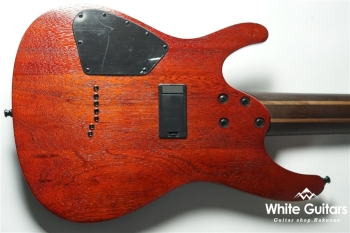 Axion Label S71AL-BML